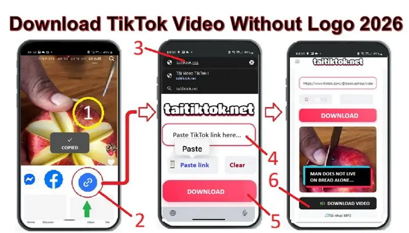 Download TikTok Videos Without logo
