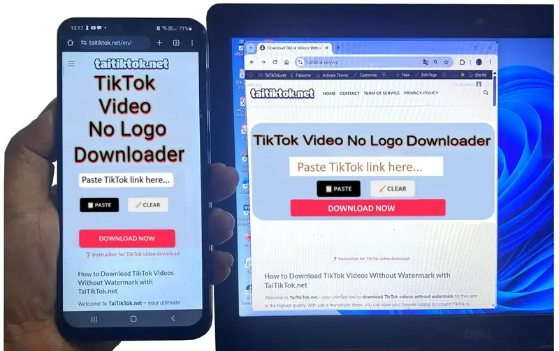 Download-tiktok-videos