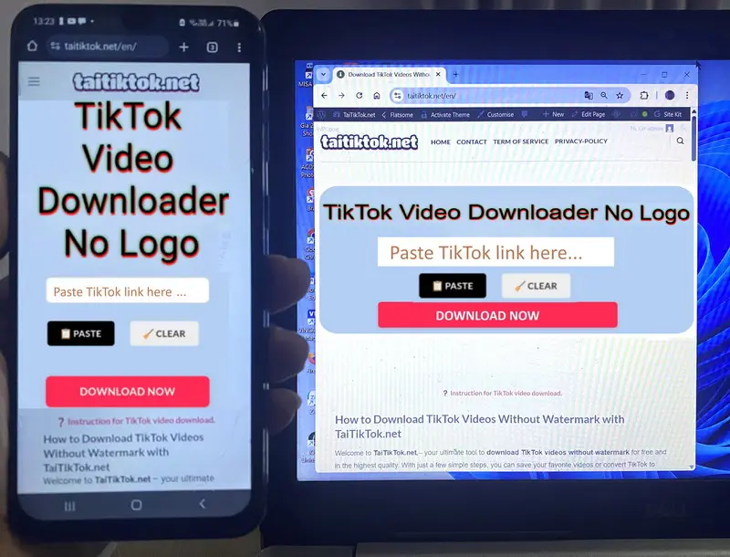 Download tiktok video No logo