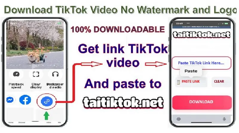 How to Download TikTok Videos Without Watermark