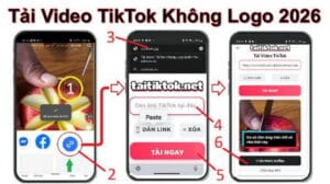 Hướng dẫn tải video tiktok không logo trên mọi thiết bị