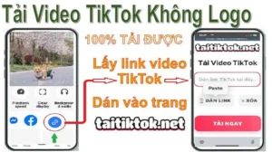 Hướng dẫn tải video tiktok trên mọi thiết bị